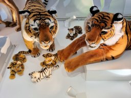 2024_Bury_02_Steiff_036