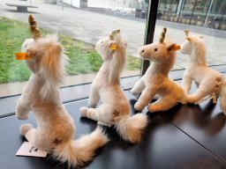 2024_Bury_02_Steiff_039