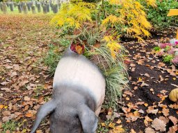 2024_Bury_06_Stuttgart_091