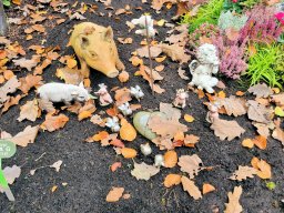 2024_Bury_06_Stuttgart_092