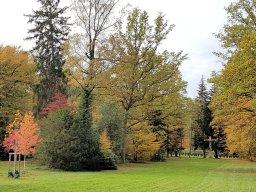 2024_Bury_06_Stuttgart_097