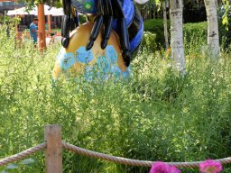 2025 Bury 048 Salford Quays