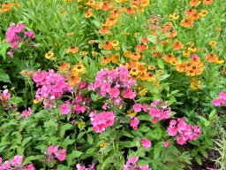 25. Jubiläum in Bury - 172