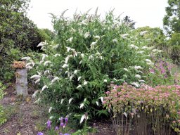 25. Jubiläum in Bury - 174