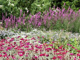 25. Jubiläum in Bury - 175