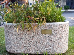 2023 Jubiläum in Dueville - 004