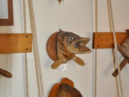 2012 Proseccoland - 010