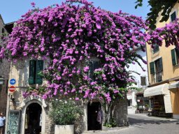 2012 Proseccoland - 015