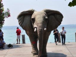 2012 Proseccoland - 082