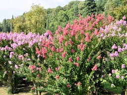 2018 Reise nach Dueville - 132