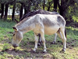 2018 Reise nach Dueville - 139