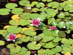 2018 Reise nach Dueville - 146