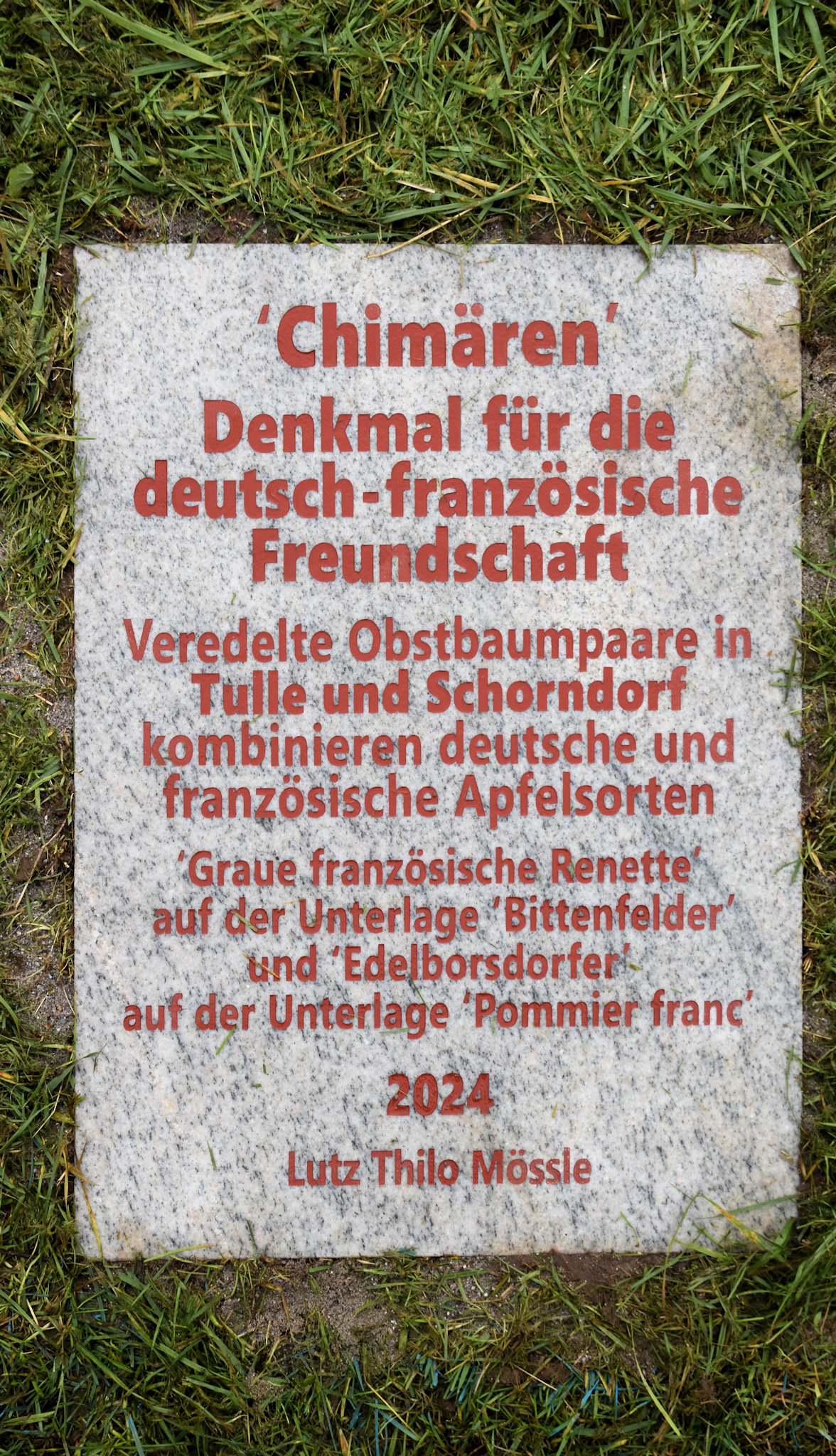 Baumpflanzung 004