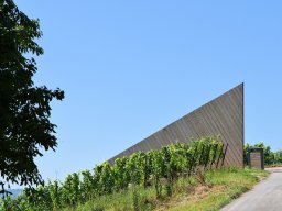 2019 Besuch aus Tuscaloosa und Kahla - 144