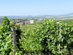 2019 Besuch aus Tuscaloosa und Kahla - 151