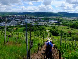 Doppeljubiläum Tulle und Bury - 216