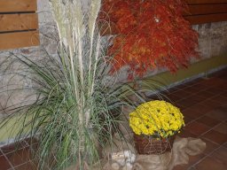 Kulinarische Reise durch die Partnerstädte - 071