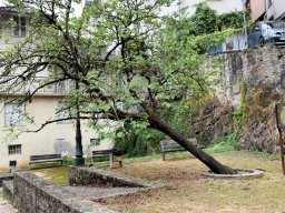 2024 Antrittsbesuch OB in Tulle - 070