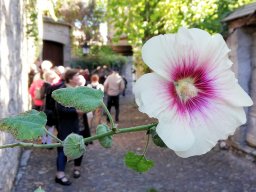 2019 50. Jubiläum in Tulle - 136