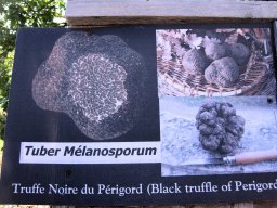 2019 50. Jubiläum in Tulle - 161