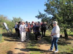 2019 50. Jubiläum in Tulle - 162