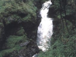 Impressionen Tulle - 019