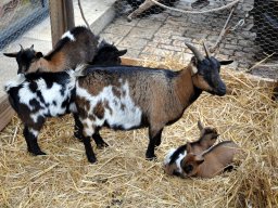 2015 Reise nach Tulle - 252