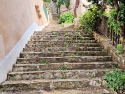 Tulle 2024 - 05.088 Impressionen