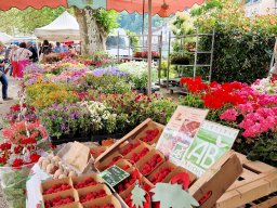 Tulle 2024 - 05.225 Impressionen