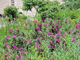 Tulle 2024 - 08.283 Aubazine