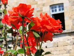 Tulle 2024 - 08.287 Aubazine