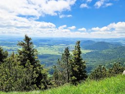 Tulle 2024 - 11.439 Puy de Dome