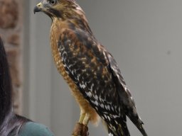 2017 Besuch in Tuscaloosa - 214